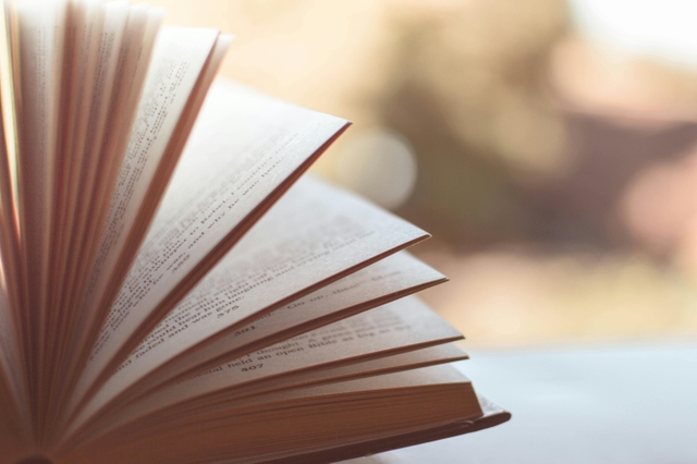 Mystery Novel